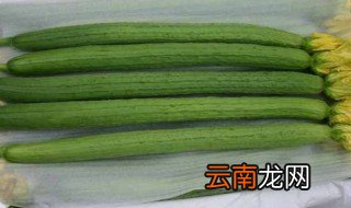 丝瓜适宜的生长温度 丝瓜适宜的生长温度简述