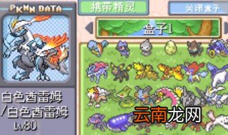 口袋妖怪漆黑的魅影海皇牙洞窟怎么走 玩法攻略详解
