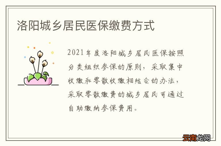 洛阳城乡居民医保缴费方式