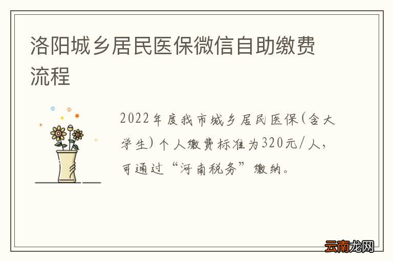 洛阳城乡居民医保微信自助缴费流程