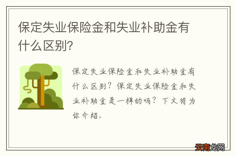 保定失业保险金和失业补助金有什么区别？