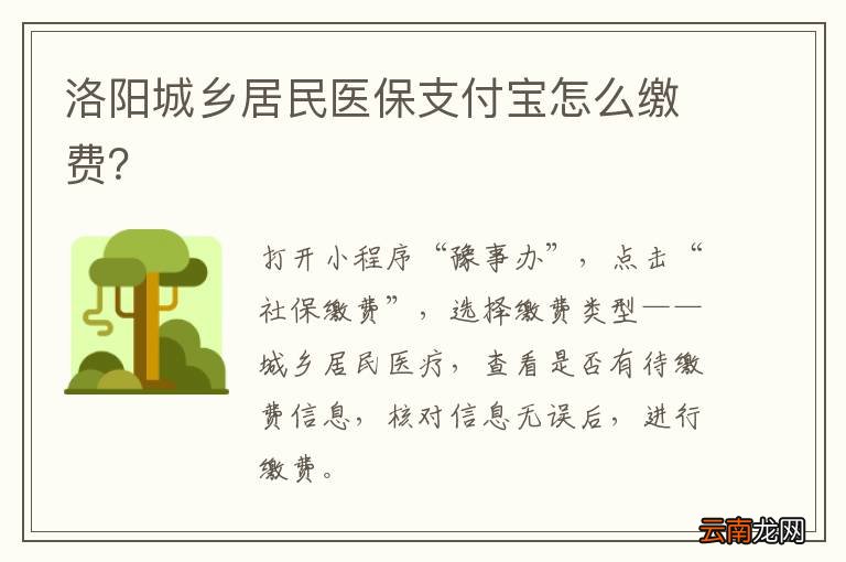 洛阳城乡居民医保支付宝怎么缴费？