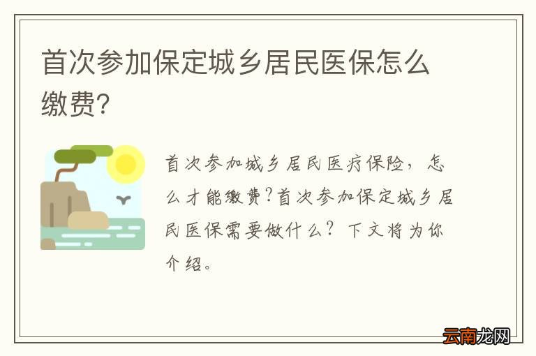 首次参加保定城乡居民医保怎么缴费？