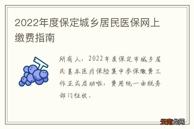 2022年度保定城乡居民医保网上缴费指南