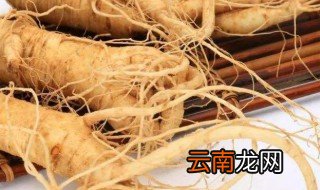 竹节参和人参有什么区别 竹节参和人参的不同详解