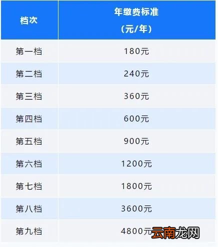 中山城乡居民养老保险缴费标准