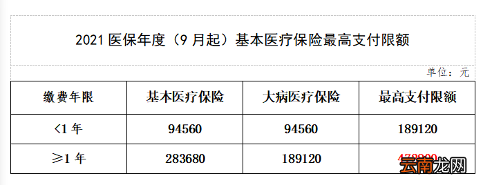 中山医疗保险要交多少年