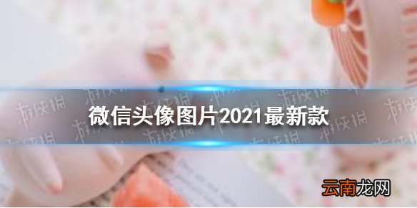 微信头像图片2021最新款 微信好看的头像图片2021