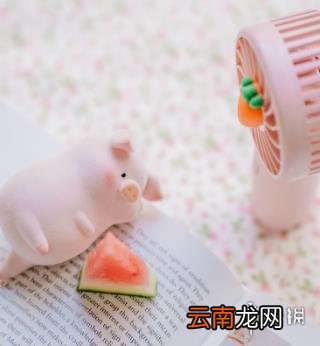 微信头像图片2021最新款 微信好看的头像图片2021