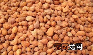 吃郁李仁的副作用 郁李仁的两种副作用