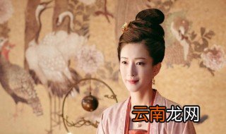 清平乐赵祯喜欢禾儿吗 清平乐赵祯喜欢禾儿