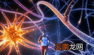 晚上学什么科目比较好 有什么特点