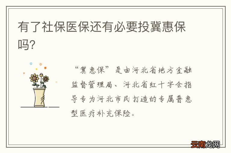 有了社保医保还有必要投冀惠保吗?