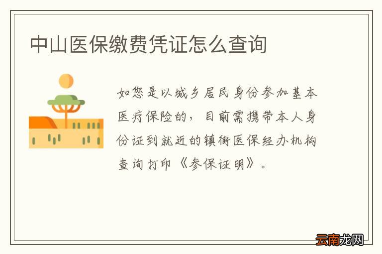 中山医保缴费凭证怎么查询