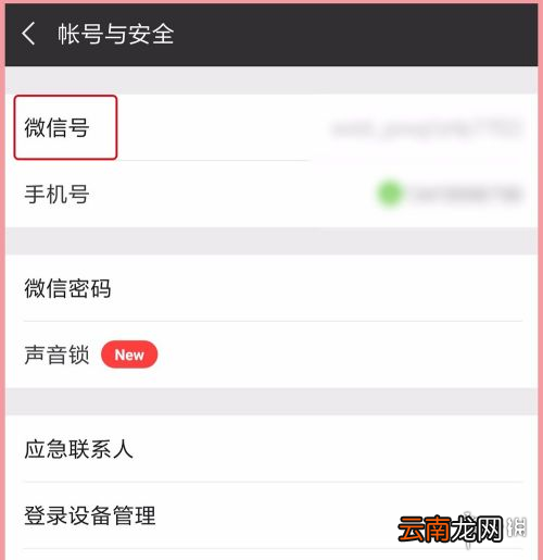 微信怎么设置微信号 微信设置微信号方法介绍