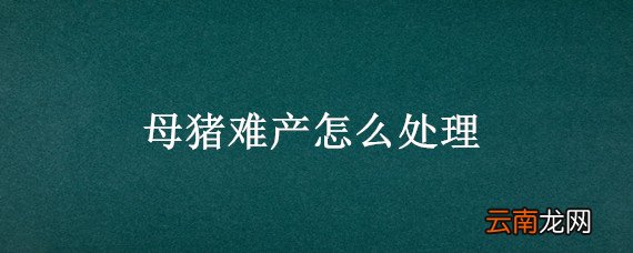母猪难产怎么处理