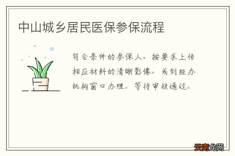 中山城乡居民医保参保流程