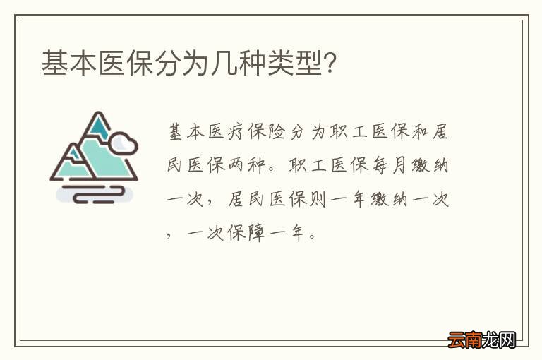 基本医保分为几种类型？