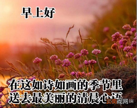 微信发送早安图片收费吗 微信发送早安图片收费真的假的