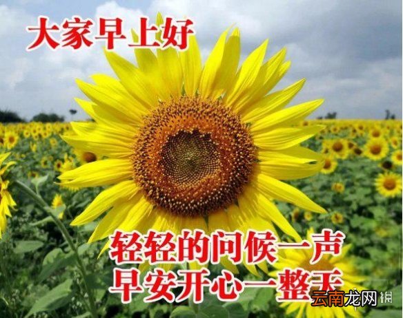 微信发送早安图片收费吗 微信发送早安图片收费真的假的
