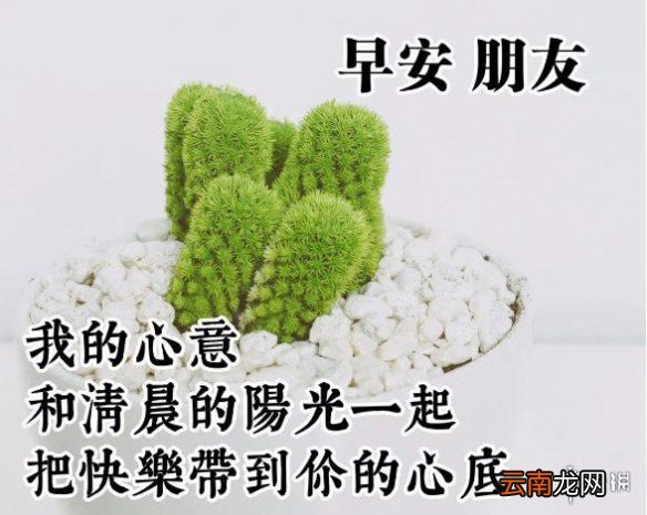 微信发送早安图片收费吗 微信发送早安图片收费真的假的