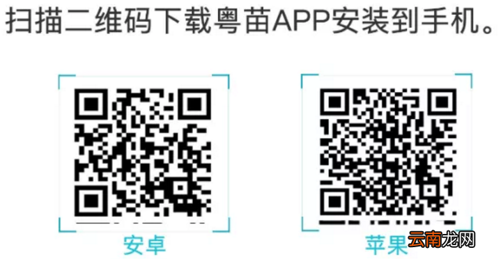 预约入口及预约步骤 云浮九价疫苗预约官网