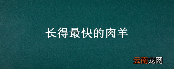 长得最快的肉羊