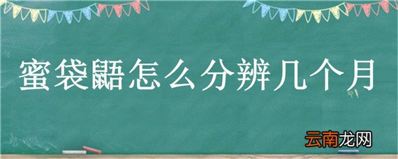 蜜袋鼯怎么分辨几个月