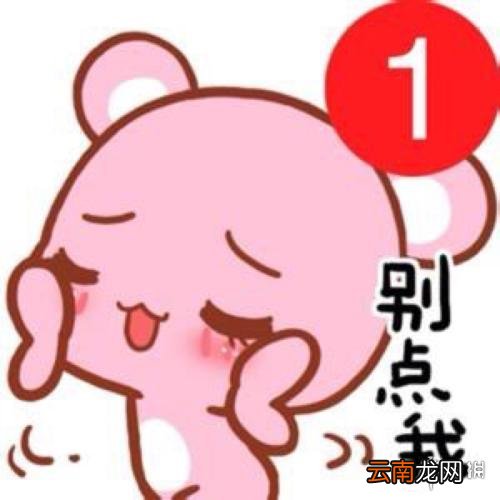 微信头像图片2021最新款 微信头像图片2021分享