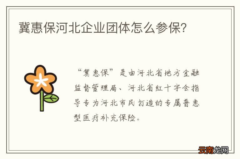 冀惠保河北企业团体怎么参保？