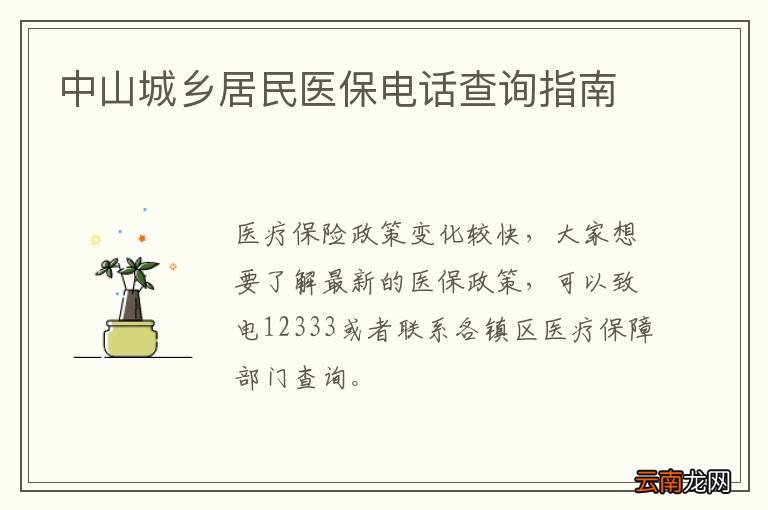 中山城乡居民医保电话查询指南