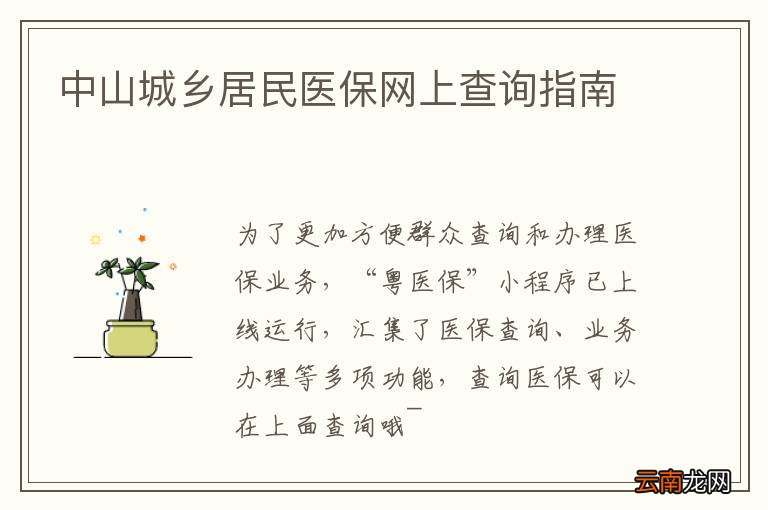中山城乡居民医保网上查询指南