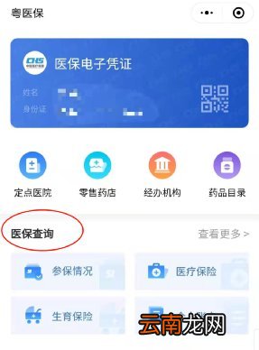 中山城乡居民医保网上查询指南