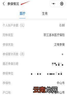 中山城乡居民医保网上查询指南