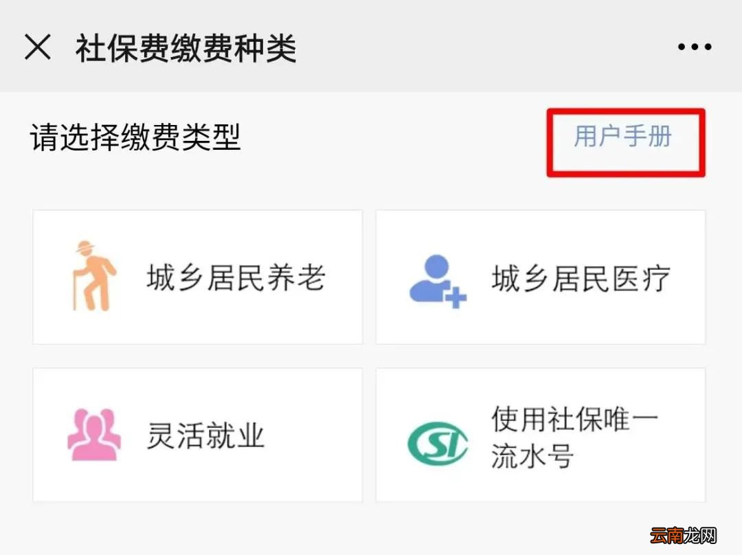 河南城乡居民两险支付宝缴费流程