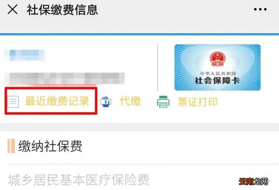 河南城乡居民两险支付宝缴费流程