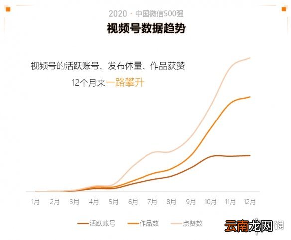 2020中国微信500强年报介绍,2020中国微信500强年报一览_第一部分