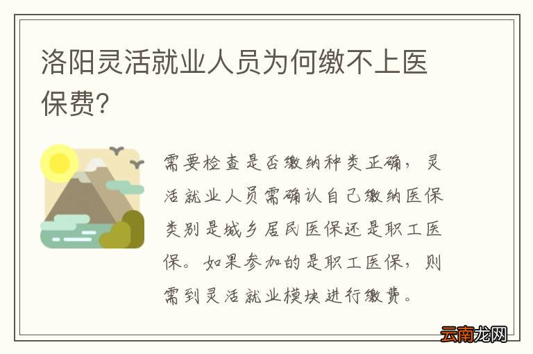 洛阳灵活就业人员为何缴不上医保费？