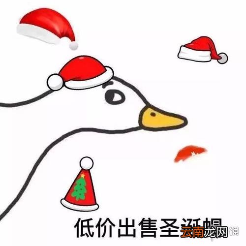 圣诞帽子图片微信头像有哪些 圣诞帽子图片微信头像大全