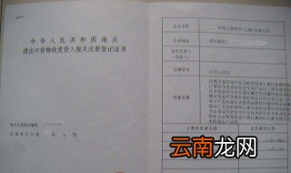 公司如何办理进出口权? 下面7个步骤帮你解决
