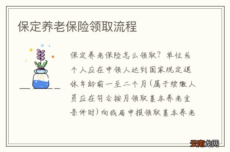 保定养老保险领取流程
