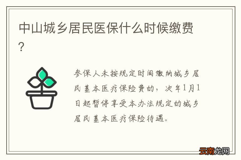 中山城乡居民医保什么时候缴费？