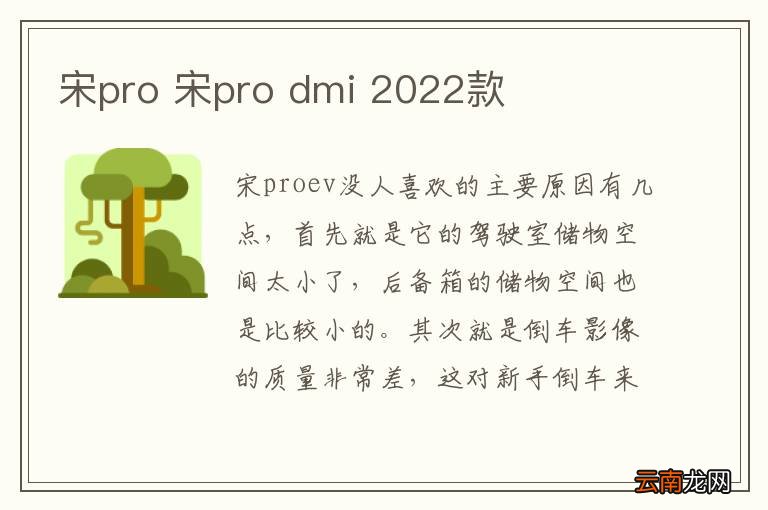 宋pro 宋pro dmi 2022款