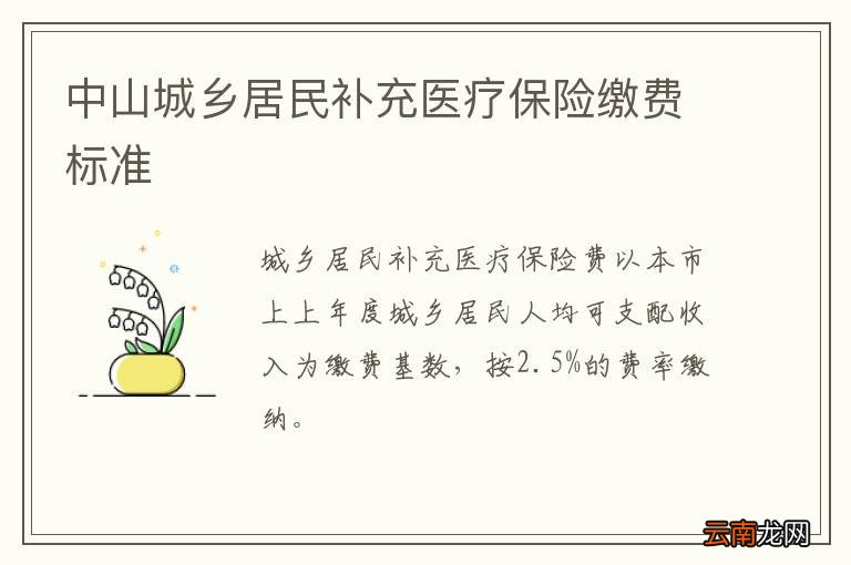 中山城乡居民补充医疗保险缴费标准