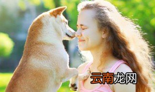 训练爱犬的方法 有哪些训练爱犬的方法