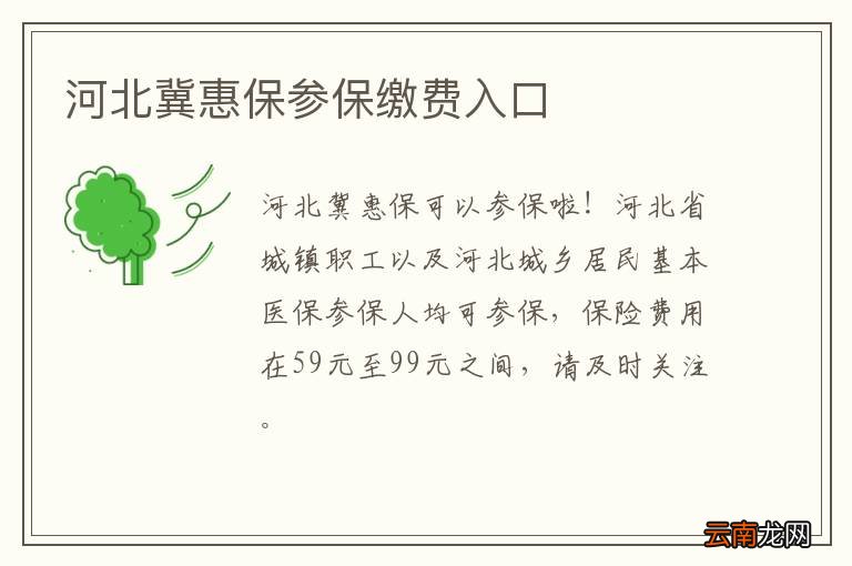 河北冀惠保参保缴费入口