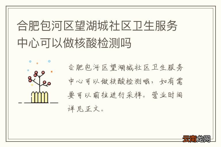 合肥包河区望湖城社区卫生服务中心可以做核酸检测吗