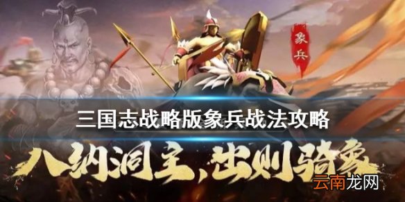 三国志战略版象兵战法怎么样 S3赛季兵种战法象兵简评