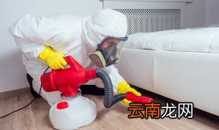 去除家中虫子生活妙招 去除家中虫子的小窍门