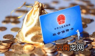 补办社保卡去哪里办理 补办社保卡要在哪里补办